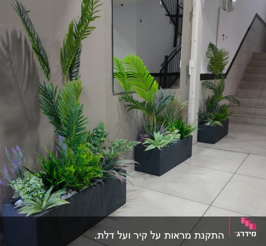 מראה גדולה על קיר ליד צמחים ירוקים